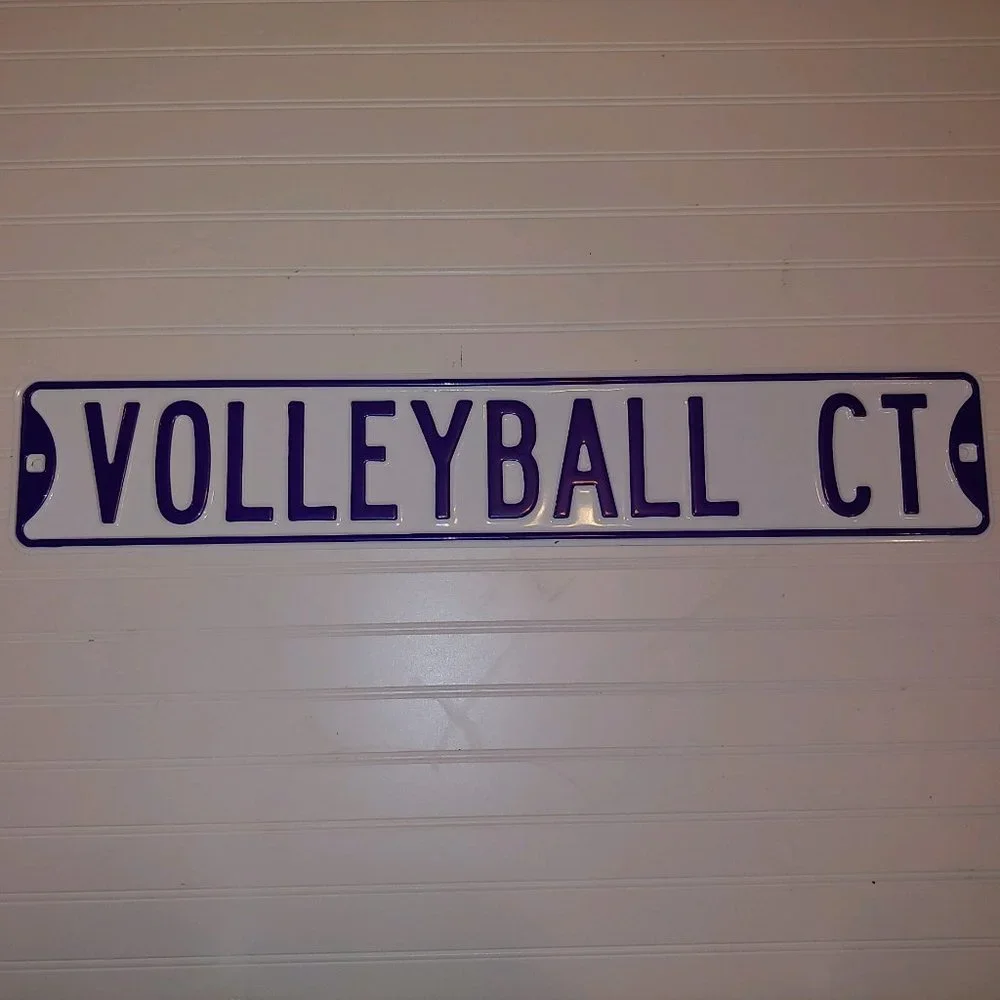 Volleyball Metal Street Sign Purple & White - NEW!